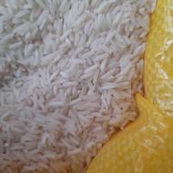 برنج شیرودی ، برداشت از زمین های شمال مازندران
