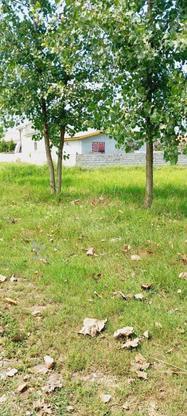 زمین سنددار مسکونی اسپند آمل در گروه خرید و فروش املاک در مازندران در شیپور-عکس1