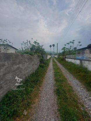 فروش زمین مسکونی سند دار 250 متر در امیررود در گروه خرید و فروش املاک در مازندران در شیپور-عکس1