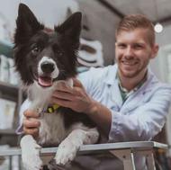 استخدام تکنسین دامپزشکی در کلینیک حیوانات خانگی