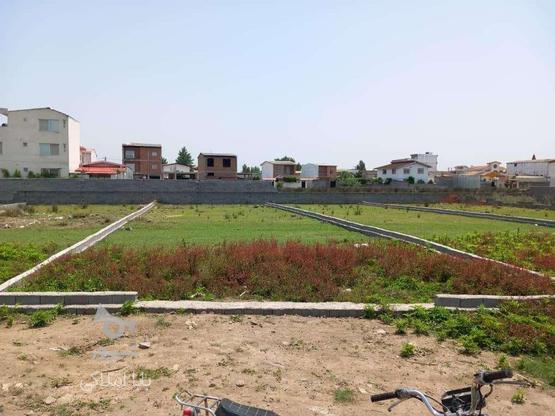 فروش زمین مسکونی 208 متر در کمربندی سرخرود در گروه خرید و فروش املاک در مازندران در شیپور-عکس1