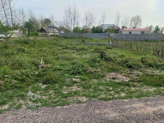 235 متر زمین مسکونی دارای نامه بنیاد کوچصفهان در گروه خرید و فروش املاک در گیلان در شیپور-عکس1