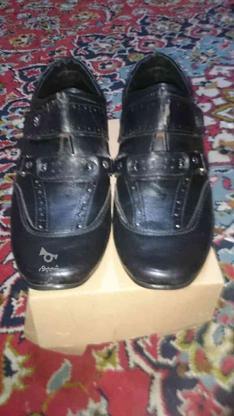 کفش سایز 43 قیمت عالی مفت در گروه خرید و فروش لوازم شخصی در اصفهان در شیپور-عکس1