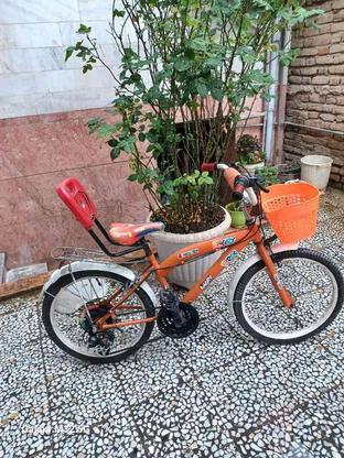 دوچرخه دنده ای بچگانه سایز 20 ، در حد نو ، زیبا ، اقساطی و م در گروه خرید و فروش ورزش فرهنگ فراغت در مازندران در شیپور-عکس1