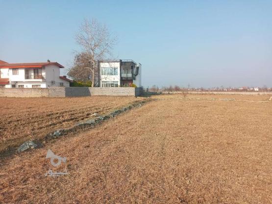 زمین 6,000 متری در هندومرز در گروه خرید و فروش املاک در مازندران در شیپور-عکس1