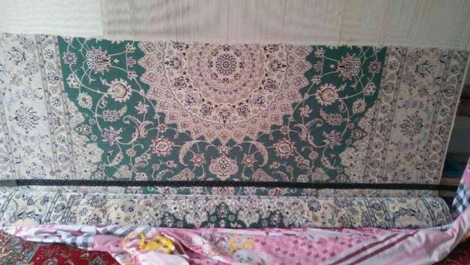 قالی از 18تایی به خاطر سرد درد خانمم  در گروه خرید و فروش لوازم خانگی در اصفهان در شیپور-عکس1
