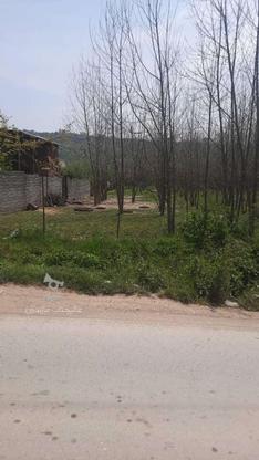 فروش زمین مسکونی 500 متر در بابلکنار در گروه خرید و فروش املاک در مازندران در شیپور-عکس1