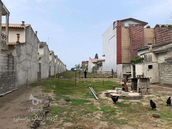 فروش زمین مسکونی 2700 متر محموداباد در گروه خرید و فروش املاک در مازندران در شیپور-عکس1