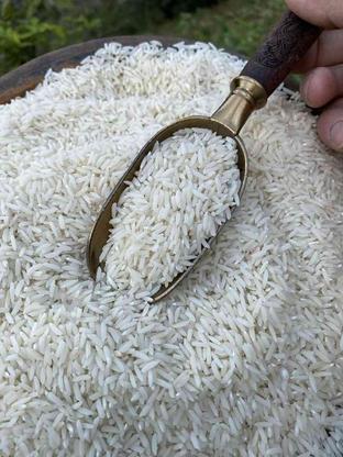 فروش برنج طارم هاشمی در گروه خرید و فروش خدمات و کسب و کار در مازندران در شیپور-عکس1