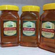 فروش انواع عسل طبیعی و اورگانیک