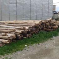 چوب خوشک سقفی