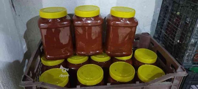 رب گوجه فرنگی ارگانیک بهداشتی در گروه خرید و فروش خدمات و کسب و کار در مازندران در شیپور-عکس1