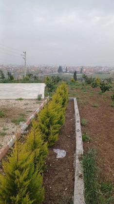 فروش زمین ویودار بافت شهری در گروه خرید و فروش املاک در مازندران در شیپور-عکس1
