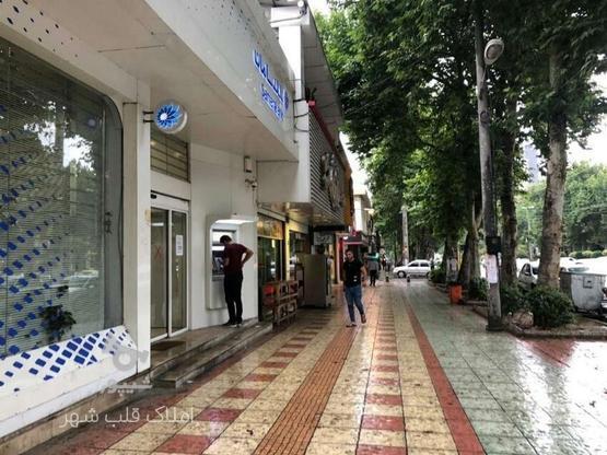 اجاره تجاری و مغازه 33 متر در خیابان هراز بین افتاب 12 تا 22 در گروه خرید و فروش املاک در مازندران در شیپور-عکس1
