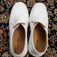 کفش طبی و راحتی مردانه سفید