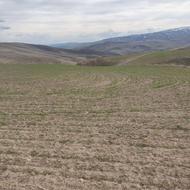زمین کشاورزی دیم به متراژ 80000 متر
