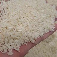برنج طارم اصل بوواری به شرط