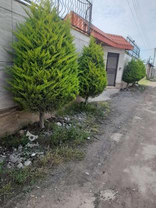 فروش زمین 180 متر در جاده کیاکلا در گروه خرید و فروش املاک در مازندران در شیپور-عکس1