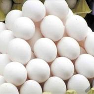 فروش تخم مرغ درجه یک به صورت بار نیسان و خاور قیمتها کیلویی