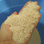 فروش فوری برنج طارم اصل