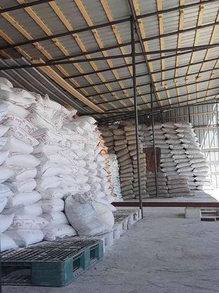 کارگر مصالح ساختمانی افغانی دایمی در گروه خرید و فروش استخدام در مازندران در شیپور-عکس1