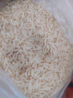 500 کیلو برنج بی نظیر به صورت یکجا در گروه خرید و فروش خدمات و کسب و کار در مازندران در شیپور-عکس1