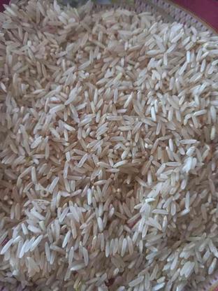 برنج ضیغمی و فجر در گروه خرید و فروش خدمات و کسب و کار در فارس در شیپور-عکس1