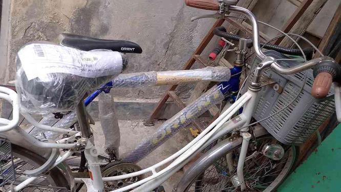 دوچرخه گریبکسی وکورسی ژاپنی در گروه خرید و فروش ورزش فرهنگ فراغت در خراسان رضوی در شیپور-عکس1