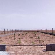 1100 باغچه در بحر خشکرود
