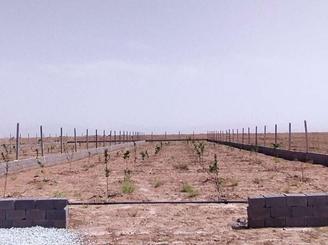 1100 باغچه در بحر خشکرود