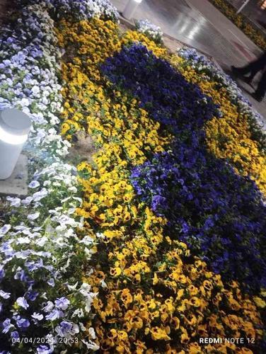 گل آرایی مدرن و امروزی