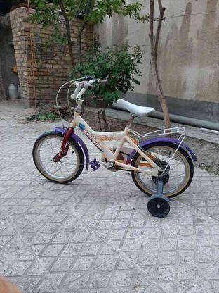 دوچرخه سالم سایز 16 در گروه خرید و فروش ورزش فرهنگ فراغت در آذربایجان غربی در شیپور-عکس1