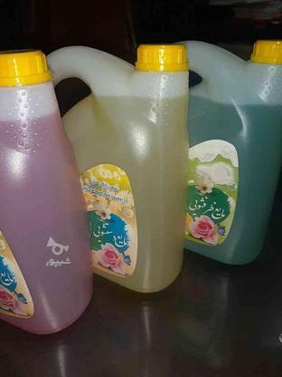 مایع شوینده از کارخونه به خونه در گروه خرید و فروش لوازم شخصی در خراسان رضوی در شیپور-عکس1