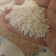 برنج ایرانی هاشمی و عنبربو