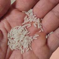 برنج دم‌سیاه بسیار عالی و ارگانیک
