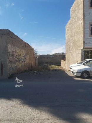 زمین مسکونی و تجاری در گروه خرید و فروش املاک در البرز در شیپور-عکس1
