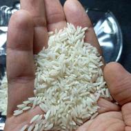 برنج هاشمی دانه درشت امساله
