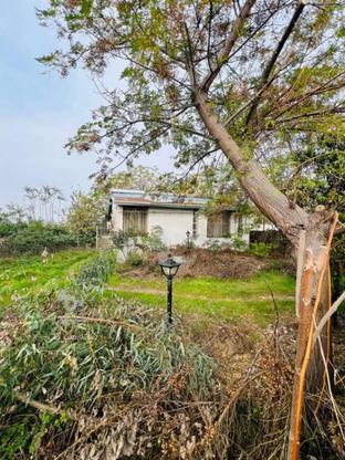 زمین مسکونی 416 متر با بناکلنگی سیاه کلا در گروه خرید و فروش املاک در مازندران در شیپور-عکس1