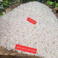 عرضه مستقیم برنج شمال کلی و جزئی با تضمین کیفیت و قیمت عالی
