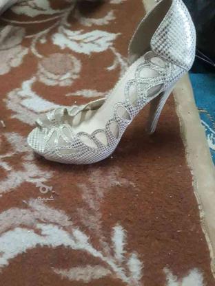 کفش مجلسی درسایز40و37 در گروه خرید و فروش لوازم شخصی در گیلان در شیپور-عکس1