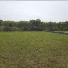 فروش زمین 200 متر در امیرآباد