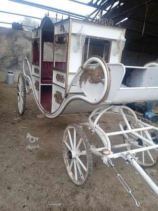 کالسکه اسب در گروه خرید و فروش وسایل نقلیه در گلستان در شیپور-عکس1