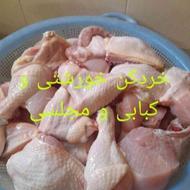 فروش مرغ زنده گوشتی