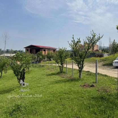 فروش زمین 170 متر جنگلی مناسب برا ویلا کلبه ای در بابلکنار در گروه خرید و فروش املاک در مازندران در شیپور-عکس1