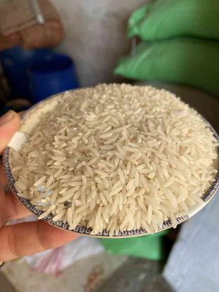 فروش برنج طارم هاشمی خودم کشاورزم در گروه خرید و فروش خدمات و کسب و کار در مازندران در شیپور-عکس1