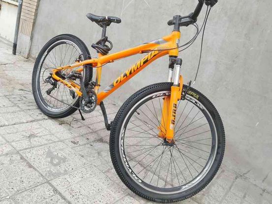 دوچرخه المپیا 26 در گروه خرید و فروش ورزش فرهنگ فراغت در خراسان رضوی در شیپور-عکس1