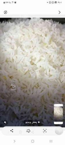 فروش برنج طارم شمال