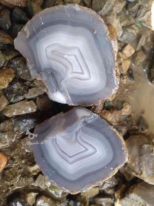 انواع سنگ های کلکسیونی و اکسسوری در گروه خرید و فروش خدمات و کسب و کار در مازندران در شیپور-عکس1
