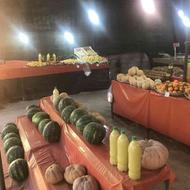 واگذاری میوه فروشی با تمام امکانات چادر130 متر