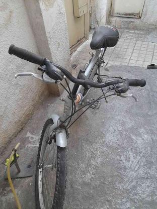 دوچرخه سالم سرهال در گروه خرید و فروش ورزش فرهنگ فراغت در زنجان در شیپور-عکس1